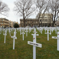 Close up of crosses in Dunedin Field of Remembrance